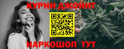 дмт Ставрополь