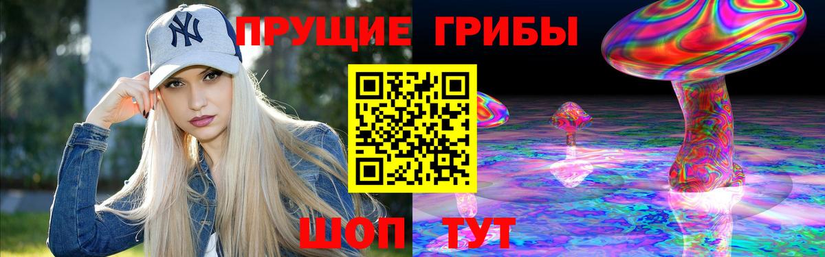 Псилоцибиновые грибы прущие грибы  Вход с VPN  Нарткала 