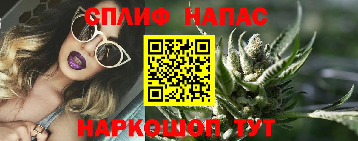 Бошки Шишки планчик  Вход с VPN  Нарткала  Шишки марихуана план  Конопля индика 